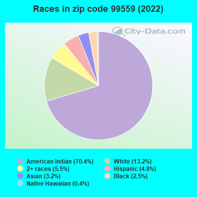Races in zip code 99559 (2022)