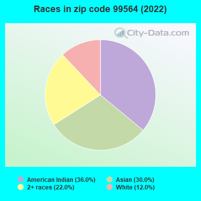 Races in zip code 99564 (2022)