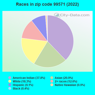 Races in zip code 99571 (2022)