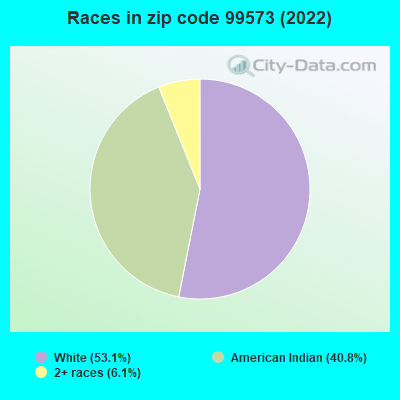 Races in zip code 99573 (2022)