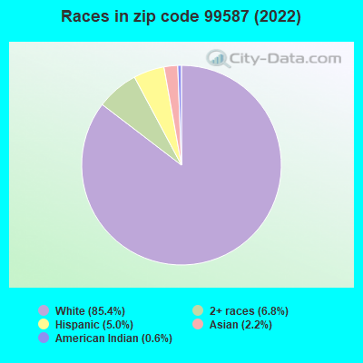 Races in zip code 99587 (2022)