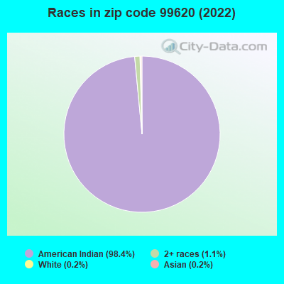 Races in zip code 99620 (2022)