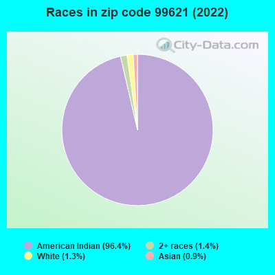 Races in zip code 99621 (2022)
