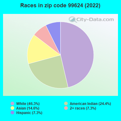 Races in zip code 99624 (2022)