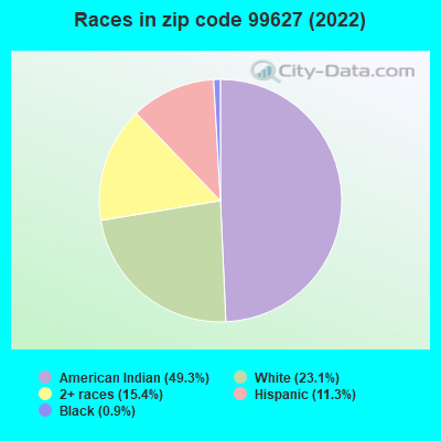 Races in zip code 99627 (2022)