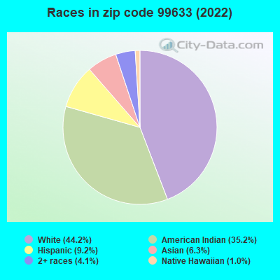 Races in zip code 99633 (2022)