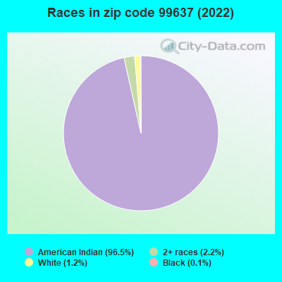 Races in zip code 99637 (2022)