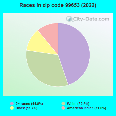 Races in zip code 99653 (2022)