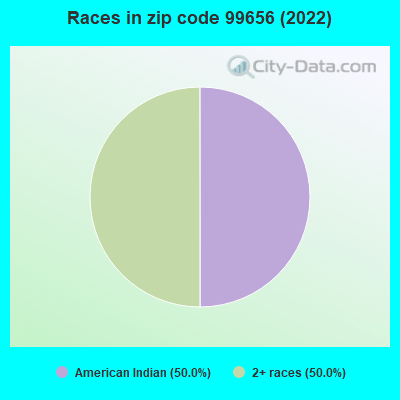 Races in zip code 99656 (2022)