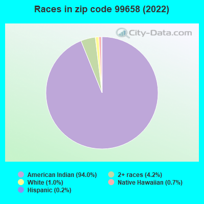 Races in zip code 99658 (2022)