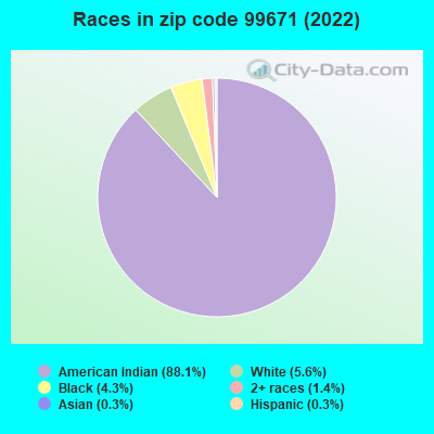 Races in zip code 99671 (2022)