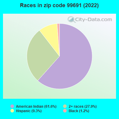 Races in zip code 99691 (2022)