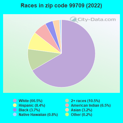 Races in zip code 99709 (2022)