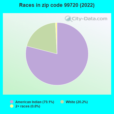 Races in zip code 99720 (2022)