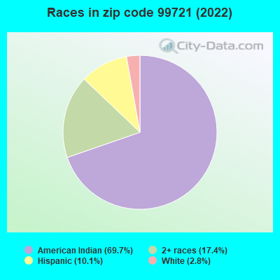 Races in zip code 99721 (2022)