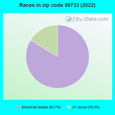 Races in zip code 99733 (2022)