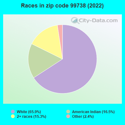 Races in zip code 99738 (2022)