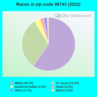 Races in zip code 99743 (2022)