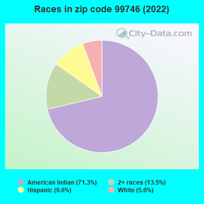 Races in zip code 99746 (2022)