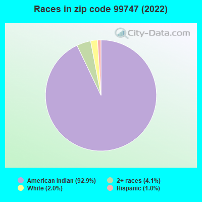 Races in zip code 99747 (2022)