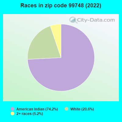 Races in zip code 99748 (2022)