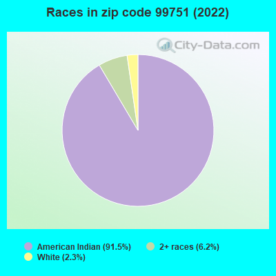 Races in zip code 99751 (2022)