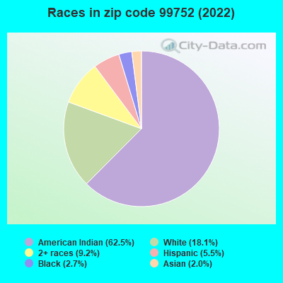 Races in zip code 99752 (2022)
