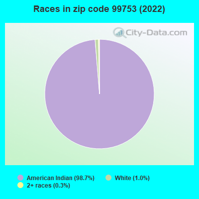Races in zip code 99753 (2022)