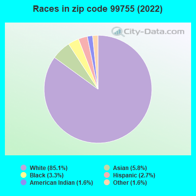 Races in zip code 99755 (2022)