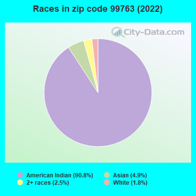Races in zip code 99763 (2022)