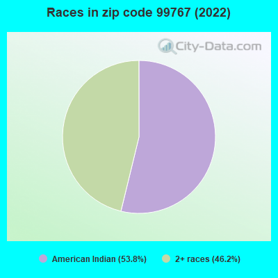 Races in zip code 99767 (2022)