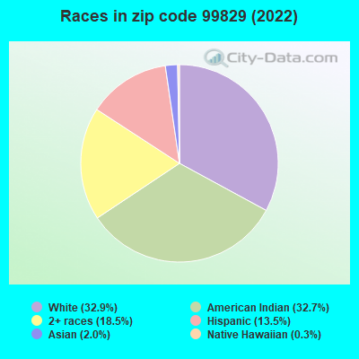Races in zip code 99829 (2022)