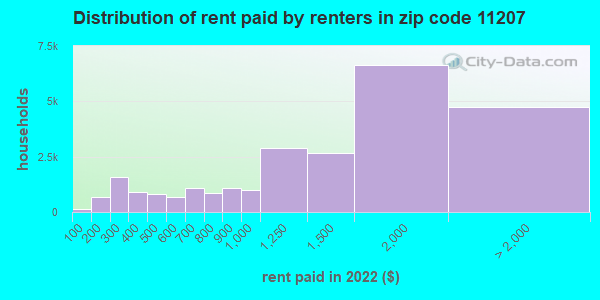 11207-zip-code-new-york-new-york-profile-homes-apartments