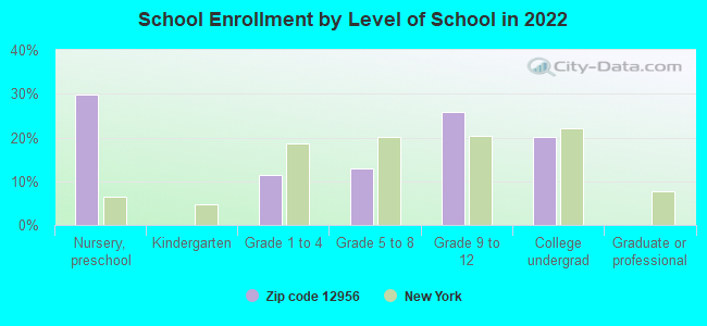 School Enrollment by Level of School in 2022