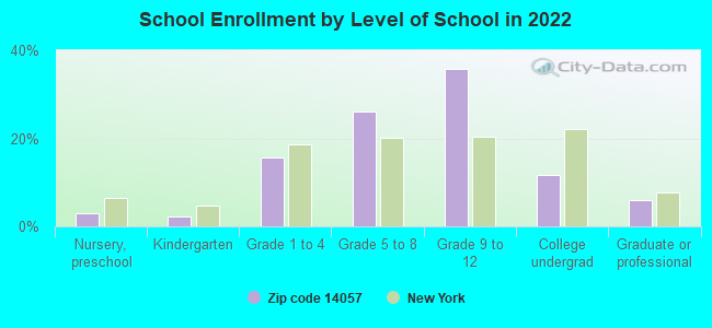 School Enrollment by Level of School in 2022