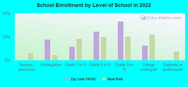 School Enrollment by Level of School in 2022