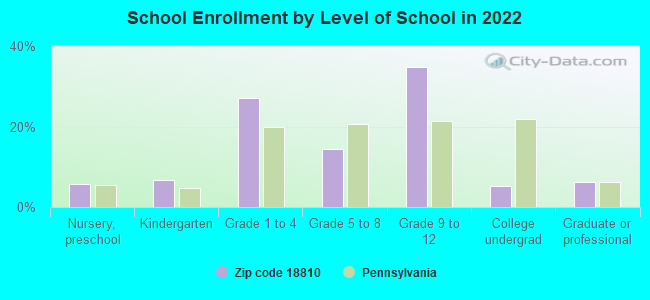 School Enrollment by Level of School in 2022