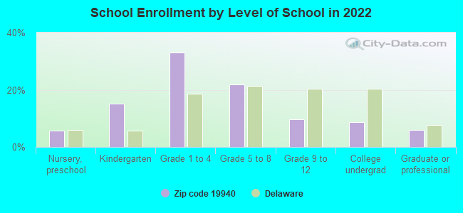 School Enrollment by Level of School in 2022