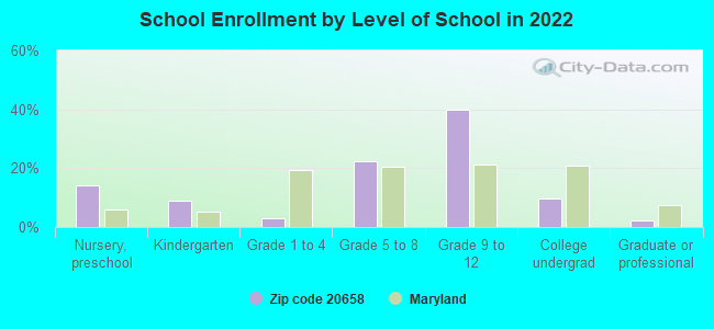 School Enrollment by Level of School in 2022