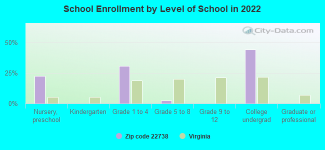 School Enrollment by Level of School in 2022