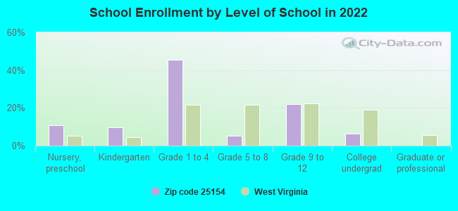 School Enrollment by Level of School in 2022