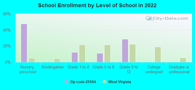 School Enrollment by Level of School in 2022