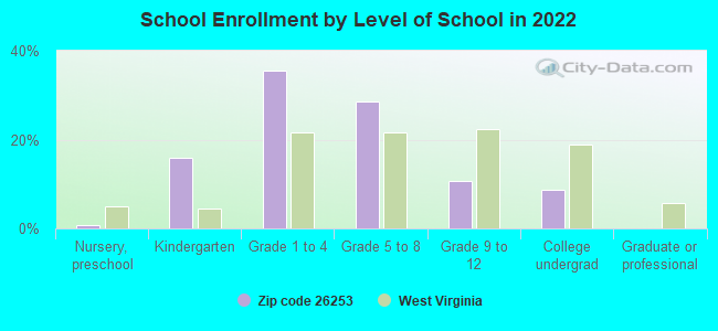 School Enrollment by Level of School in 2022