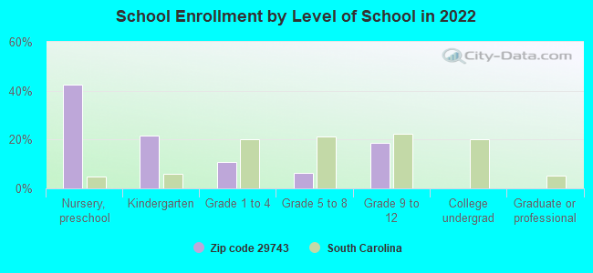 School Enrollment by Level of School in 2022