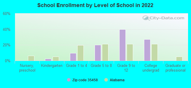 School Enrollment by Level of School in 2022