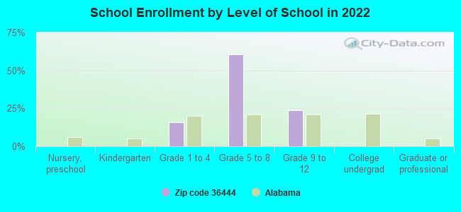 School Enrollment by Level of School in 2022