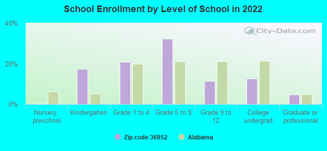 School Enrollment by Level of School in 2022