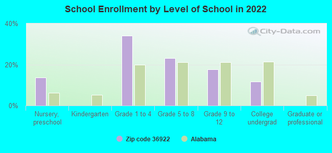 School Enrollment by Level of School in 2022