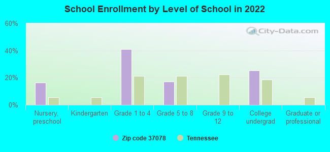 School Enrollment by Level of School in 2022