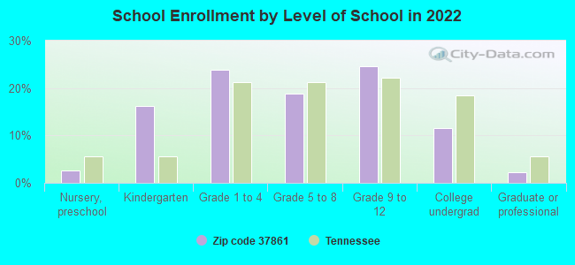 School Enrollment by Level of School in 2022